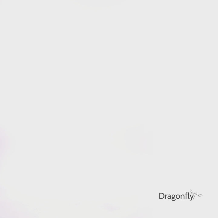 {{ product.title }} | {{ product.type }} Dragonfly Clothing
